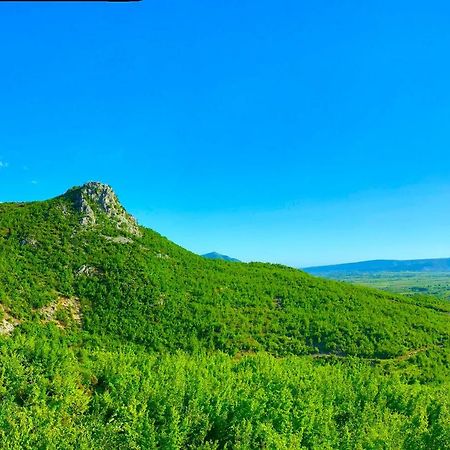 Hani I Leks Agroturizem Lezhë Exterior foto